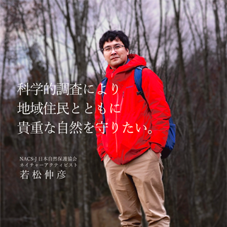 科学的調査により地域住民とともに貴重な自然を守りたい。　NACS-J日本自然保護協会ネイチャーアクティビスト若松伸彦