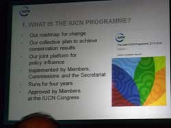 IUCNプログラム.jpg
