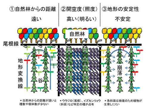 kaiho512_林床植生の種多様性を低下させる要因.jpg