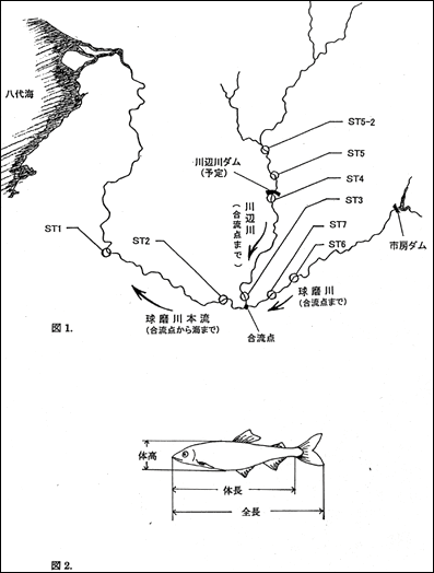 川の位置関係を示した地図