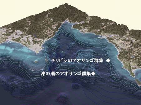 大浦湾の3Dマップ