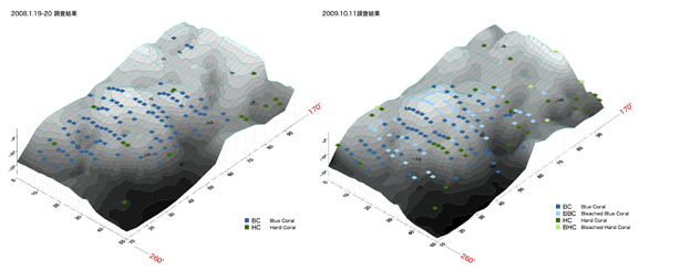 白化したアオサンゴの三次元マップ
