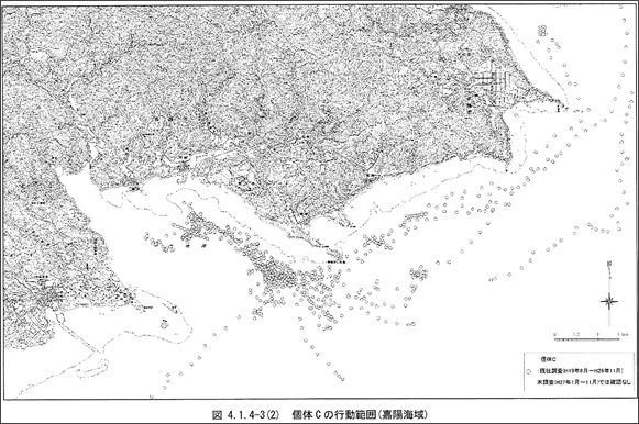 沖縄島のジュゴン個体Cの行動軌跡.jpg