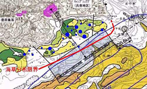 021212辺野古海草分布限界と空港計画.jpg