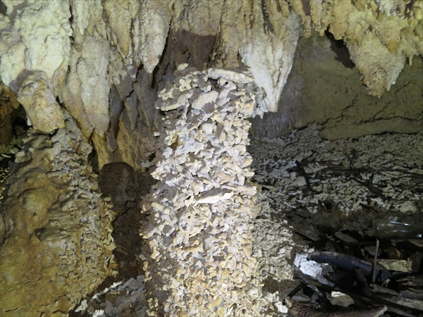 長島の洞窟内、白い鍾乳石の写真