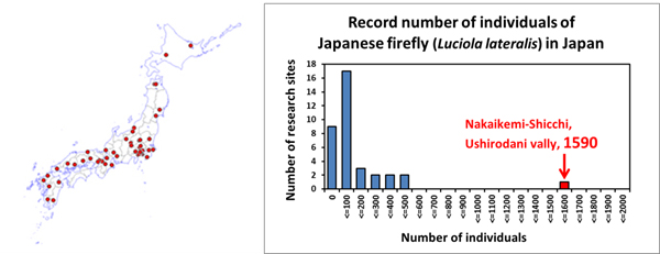 Figure_Firefly-monitoring-sites-in-Japan-and-its-distribution-(left)-and-a-comparative-study.jpg