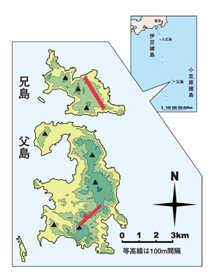 020101小笠原地図.jpg