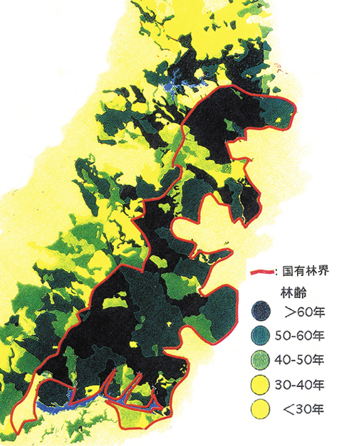 沖縄島北部の林齢図