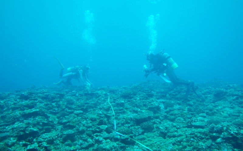 ふたりのダイバーが海底を調査している写真