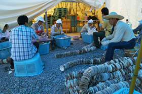 20120806kyoudo.JPG