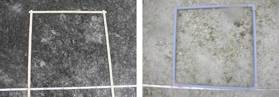 20110101awase.jpg