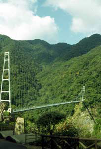 030612照葉大橋.jpg
