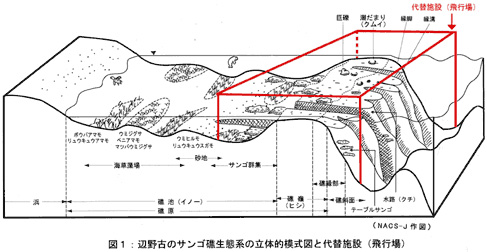 040610サンゴ礁生態系立体模式図.jpg