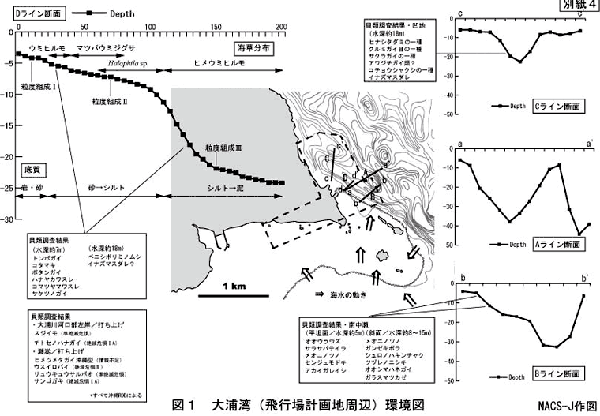 henoko-060330-zu1.gif