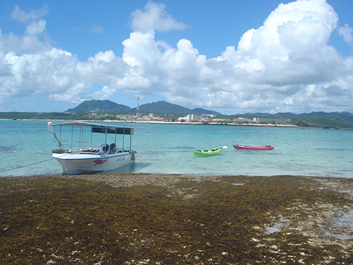 okinawahenoko_P.jpg