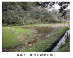20121119nakaikemi-tyosareport-1.jpg