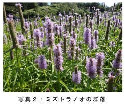 20121119nakaikemi-tyosareport-2.jpg