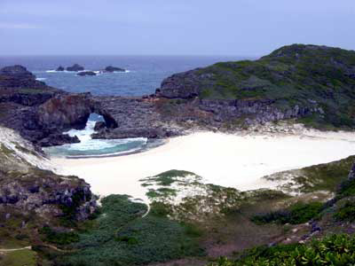 040930小笠原.jpg