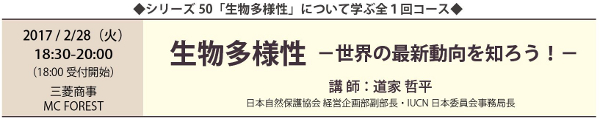 Ncolle50_program.JPG