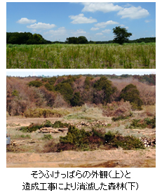 20130322soufukepparayoubousyo-image.jpg