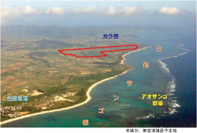 白保上空写真.jpg