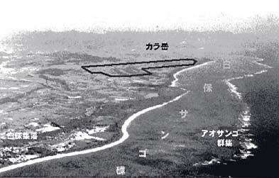 白保空港建設計画位置とサンゴ礁.jpg