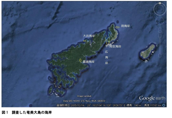 201505-12amamigenchihoukoku1.jpg