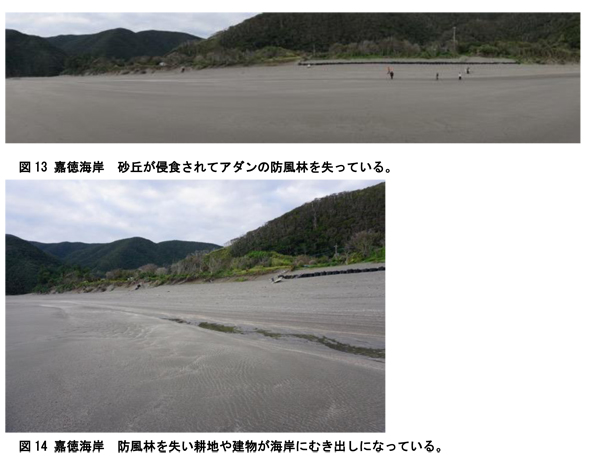 201505-12amamigenchihoukoku10.jpg