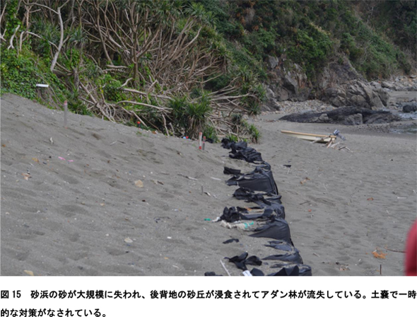 201505-12amamigenchihoukoku11.jpg