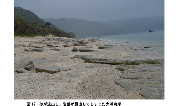 201505-12amamigenchihoukoku13.jpg