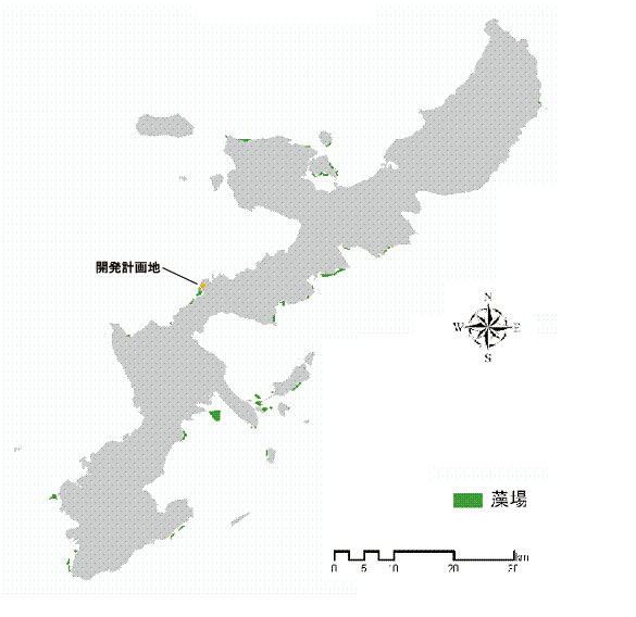 沖縄島の海草藻場の分布