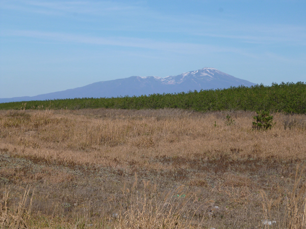 201511yamagatafuryokuikensyo.jpg