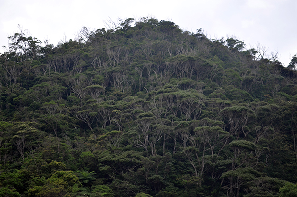 DSC_0291.JPG