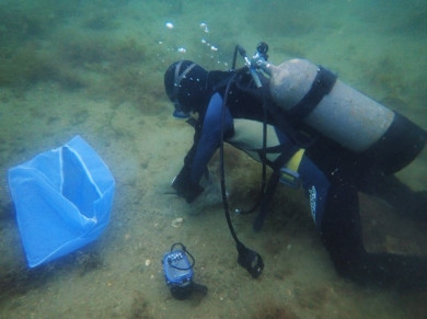 ナメクジウオが生息する海域を調査をするダイバーーの写真