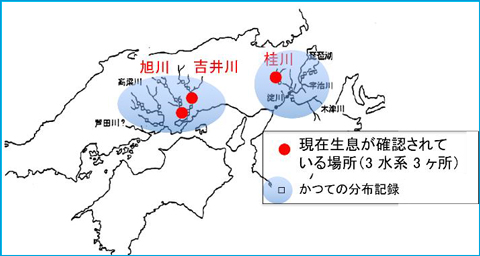 現在生息が確認している場所の地図
