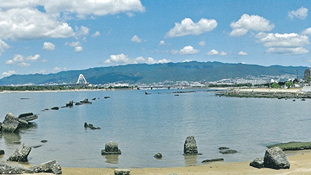 大阪湾最奥に残る自然海岸・甲子園浜を未来へ受け継ぐ