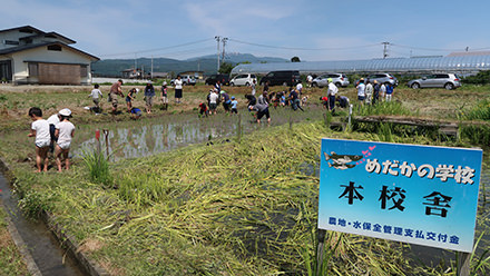 子どもたちとつなぐ、おらだ田んぼの魅力と田園地域の未来