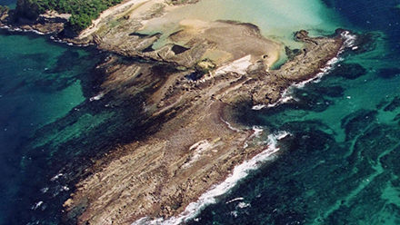 畠島における海岸生物群集一世紀間調査活動～半世紀を終えて
