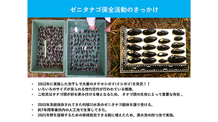 事業所内の湧水池で、多様なパートナーと希少種・普通種を守る