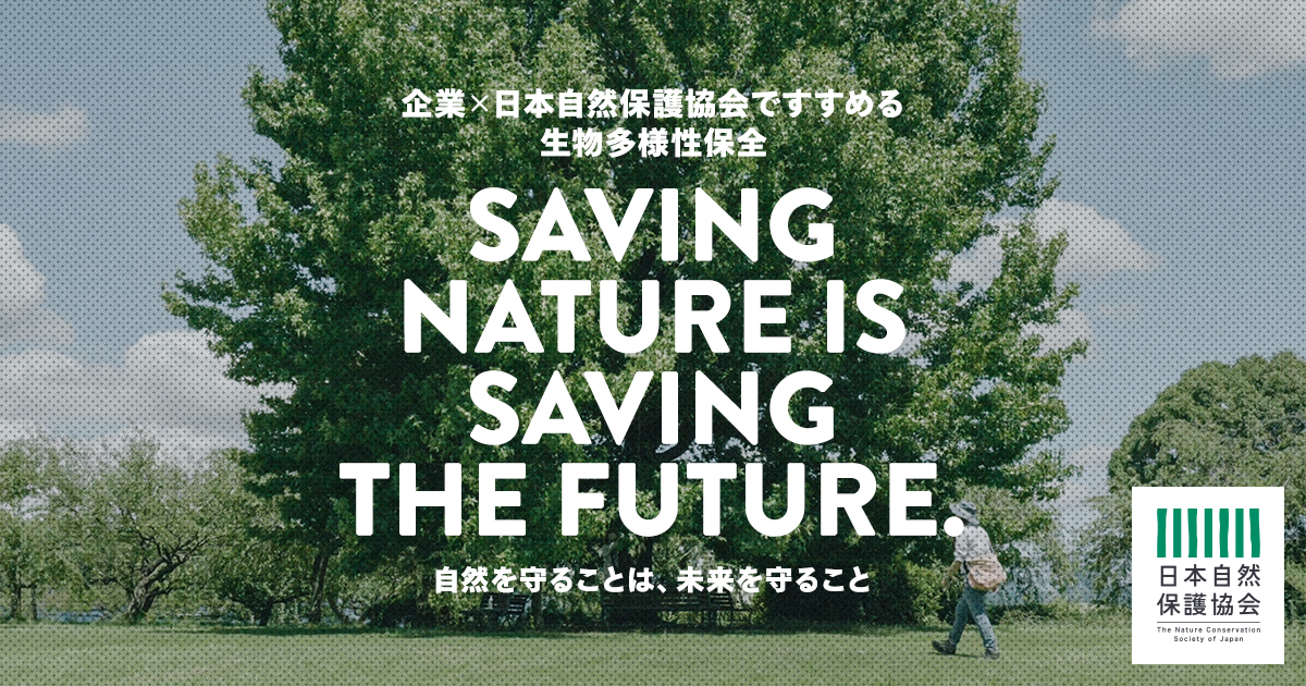 自然を守ることは未来を守ること | 日本自然保護協会