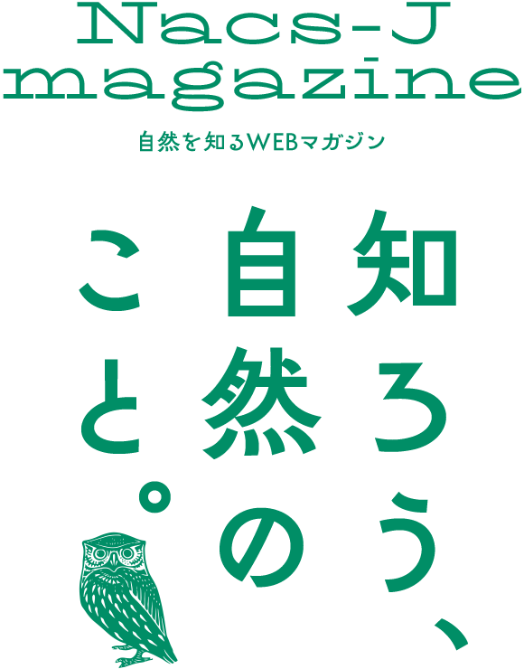 自然を知るWEBマガジン「知ろう、自然のこと。」