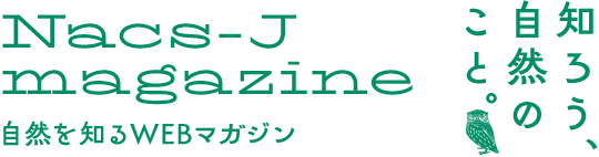 自然を知るWEBマガジン「知ろう、自然のこと。」