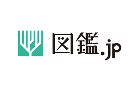 図鑑.jp