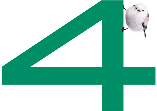 4