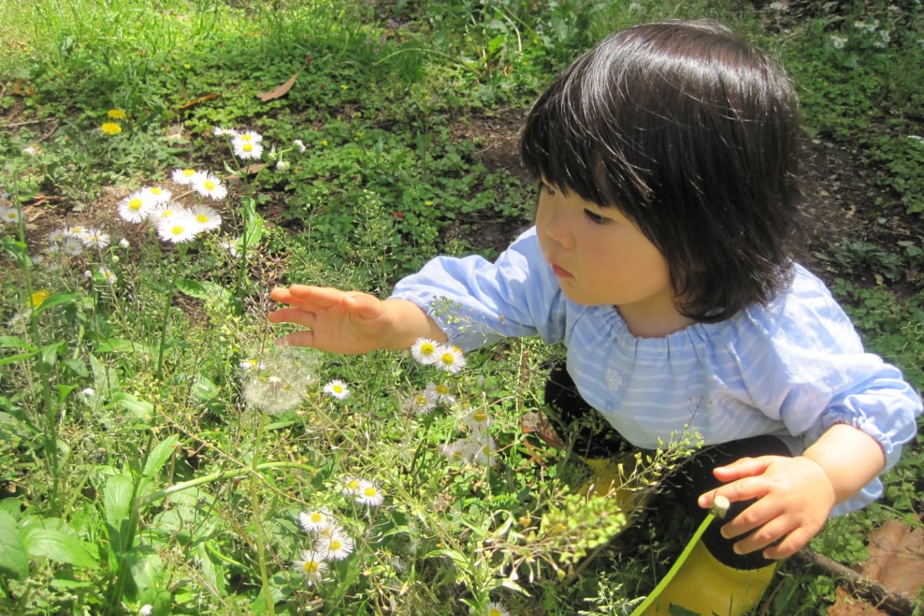 子ども向け自然体験プログラム