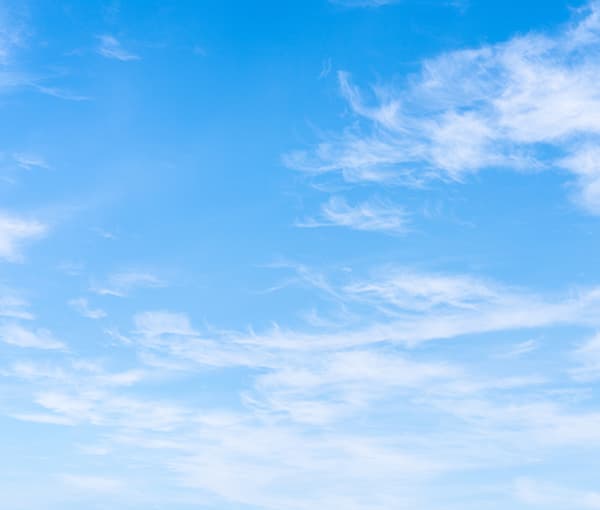 遺贈寄付の意思決定