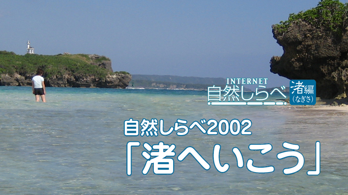 「渚へいこう」アイキャッチ画像