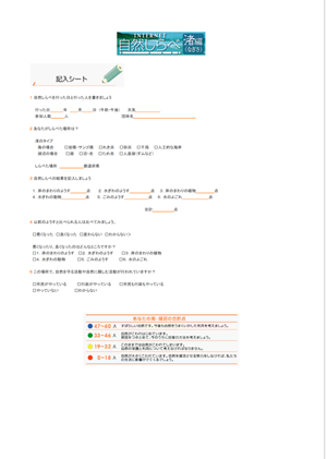 調査記入シートの画像