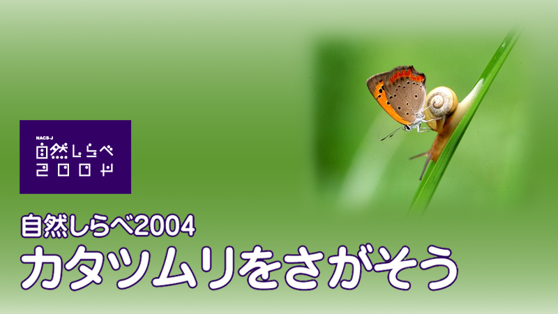 「カタツムリをさがそう」アイキャッチ