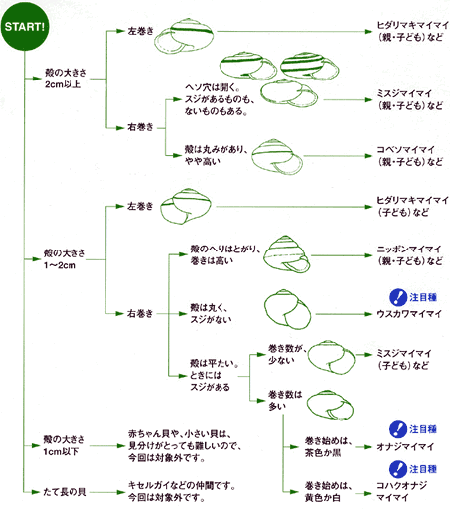 自然しらべ04 調査マニュアル 日本自然保護協会オフィシャルサイト